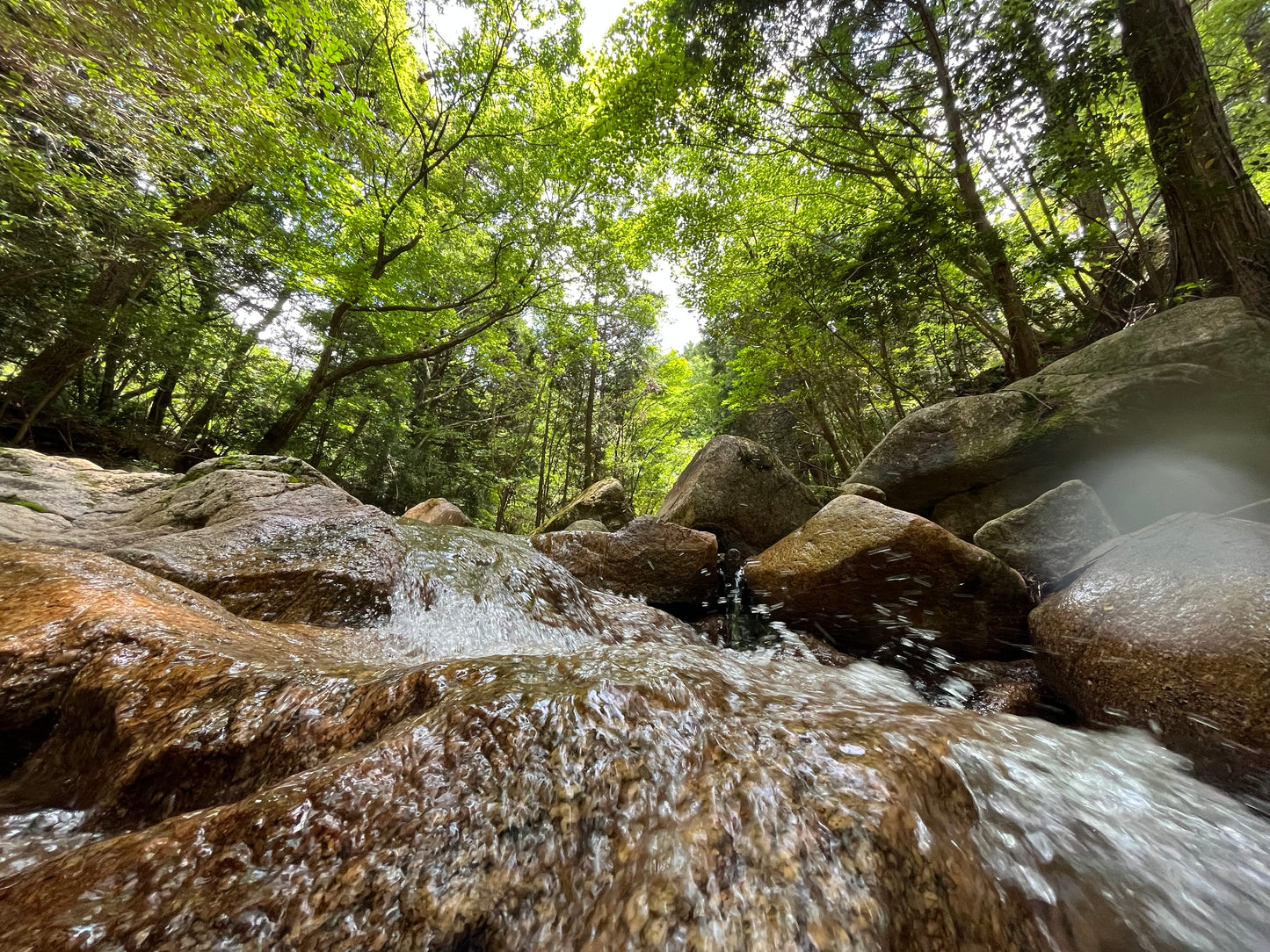 Fragrance Room Mist 80ml Hinoki