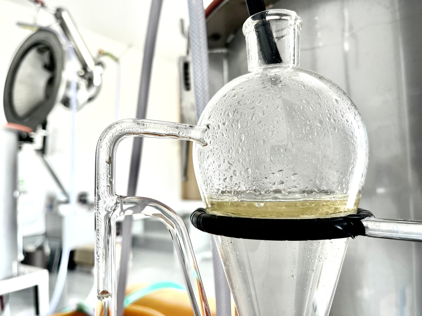 精油 3ml ハッサク果皮