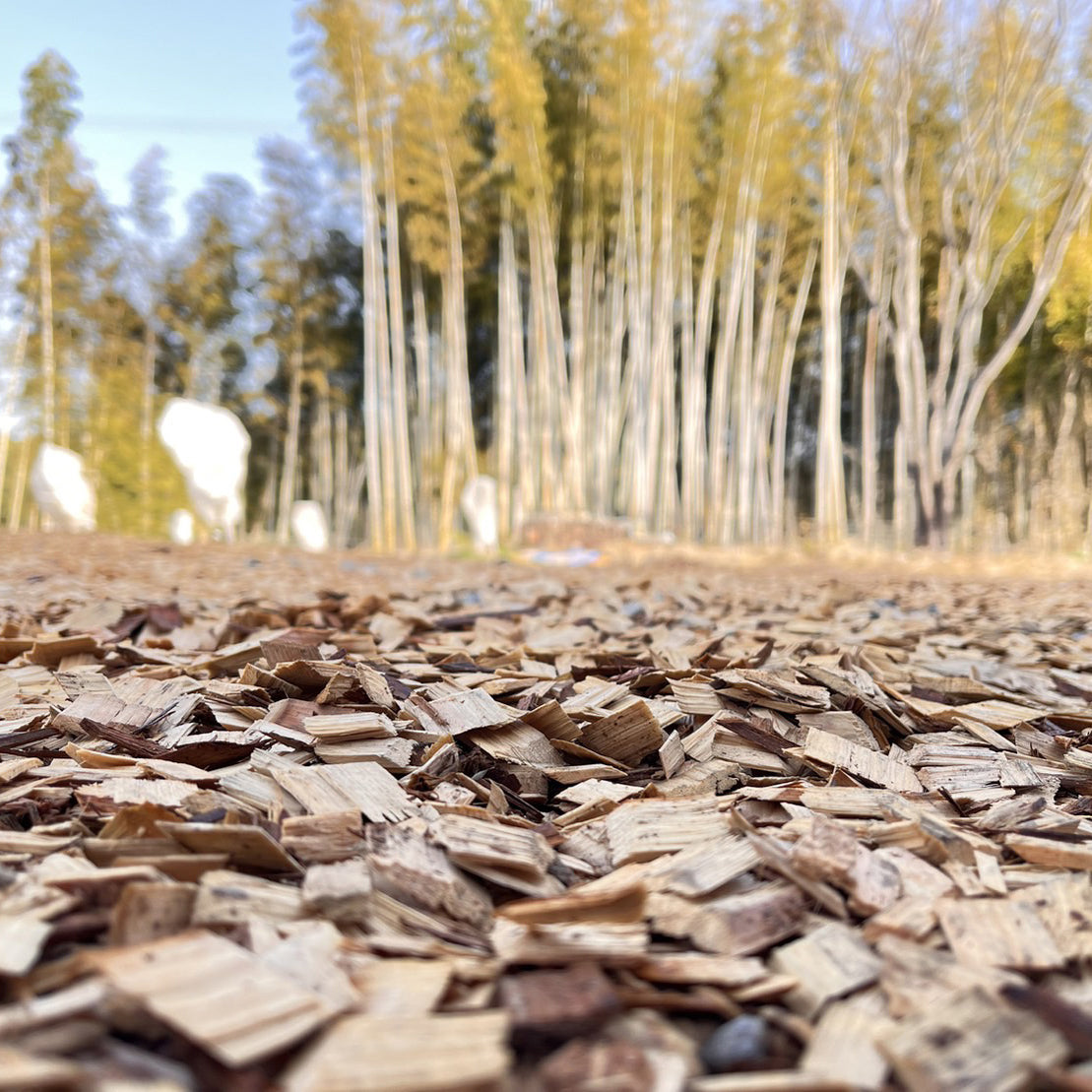 Cedar/Hinoki mixed wood chips from Koka City 110L
